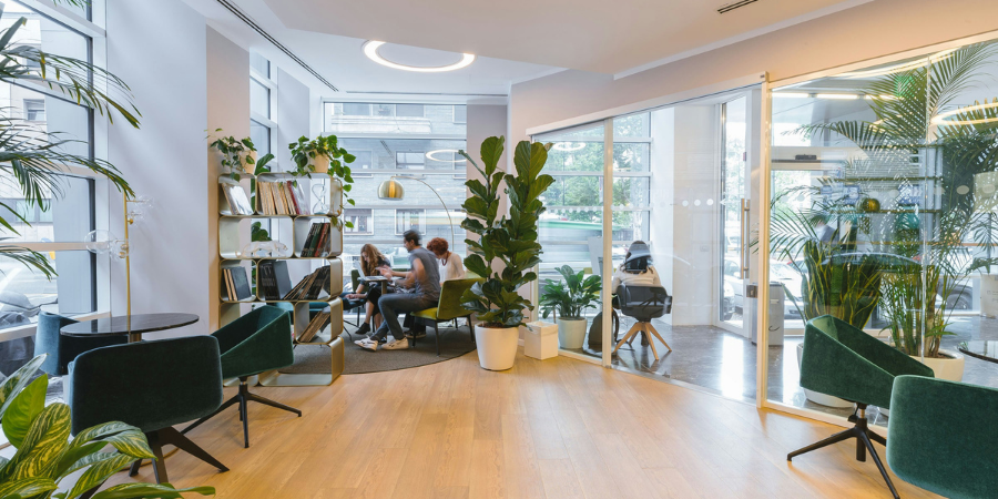 Office Training and Mentoring