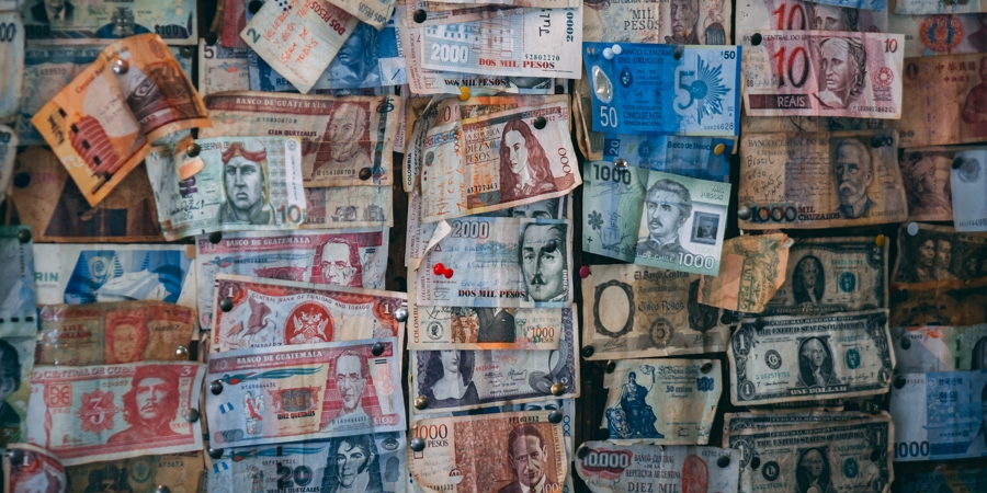 Mentoring Money Tree - World Mentoring Day
